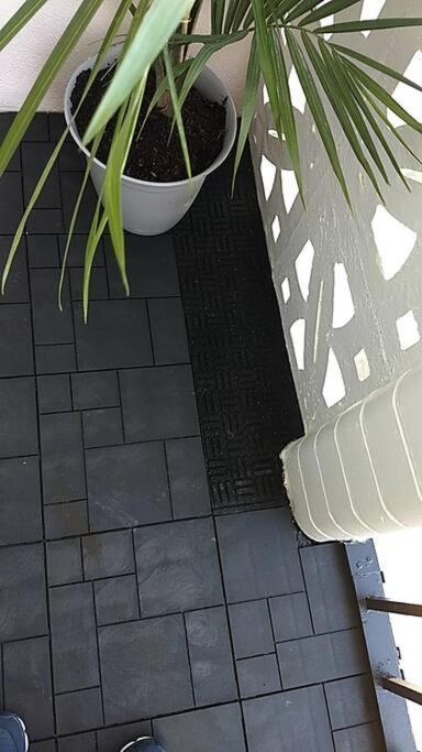 מירטל ביץ' Pool Front & Across From Beach מראה חיצוני תמונה