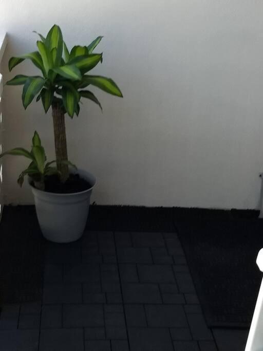 מירטל ביץ' Pool Front & Across From Beach מראה חיצוני תמונה