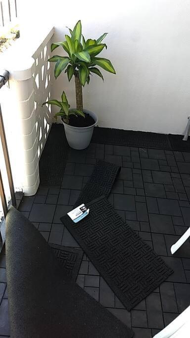 מירטל ביץ' Pool Front & Across From Beach מראה חיצוני תמונה